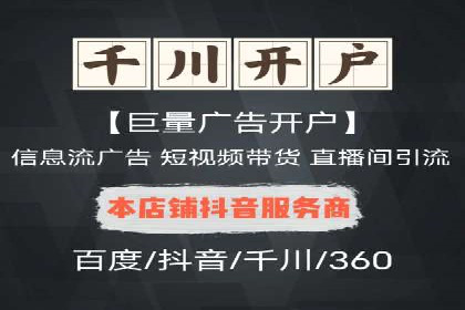 电商平台信息流广告的投放策略与效果评估案例
